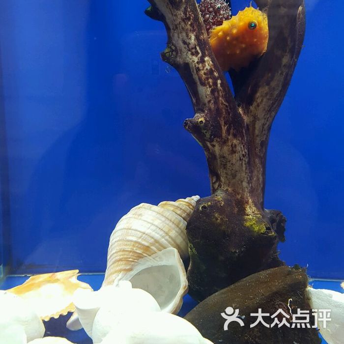 鄂霍次克流冰館