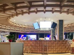 -星河湾温泉洗浴酒店