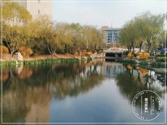 -丁家河公园