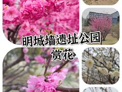 -北京明城墙遗址公园