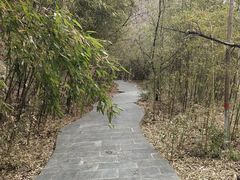 -少华山国家森林公园