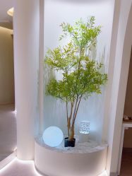 点击看大图 -VE专注问题肌·赛诺龙&科学美肤中心