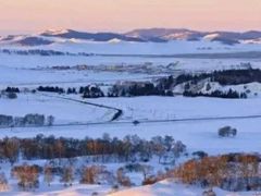 -塞罕坝国家级自然保护区