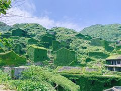 -枸杞岛