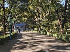 -森林公园(尖草坪区)