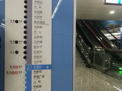 -大龙山(地铁站)