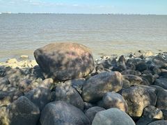 -上海吴淞炮台湾国家湿地公园