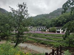 -雁荡山风景名胜区