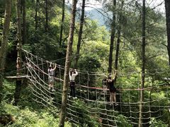 -梦幻奥陶纪景区