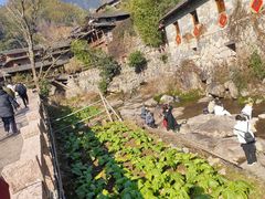 -林坑古村落