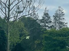 -贵州省植物园