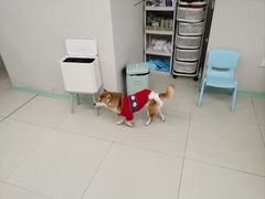 -怪兽屋·羊驼·猫咖·狗咖(俊华广场店)