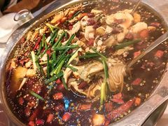 -乡土特色.冷锅鱼.牦牛肉汤锅