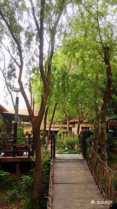 呼吸森林--环境图片-苏州美食-大众点评网