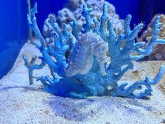 -多彩贵州城极地海洋世界