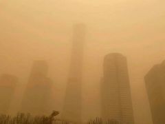 -中央广播电视总台(光华路办公区)