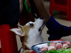 -威邵鸡煲(西华路总店)