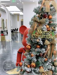 -JUNO hair salon