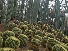 -南山植物园