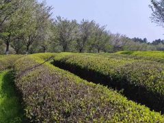 -凤凰沟景区