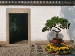 -留园
