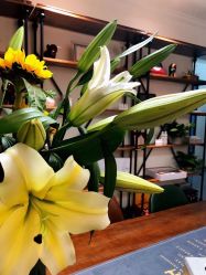 -DMK尹姬美妍肌肤健康管理中心