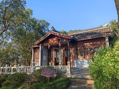 -上海市保健医疗中心