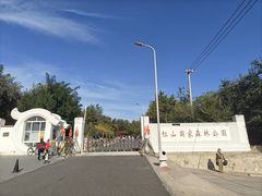 -红山国家森林公园