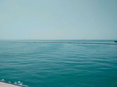 -合肥滨湖国家森林公园