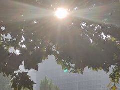 -福晶园益生菌蛋糕面包(紫荆山店)