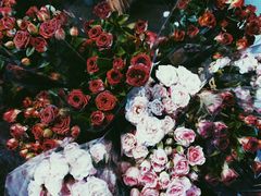 -循礼门鲜花花市(武汉循礼门店)