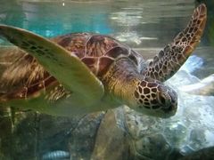 -福州罗源湾海洋世界旅游区