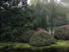 -天鹅湖体育公园