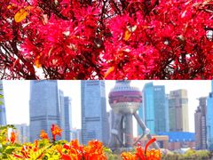 -北外滩滨江绿地