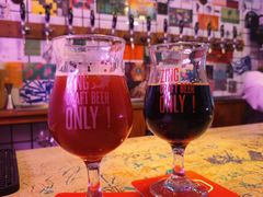 -ZING鲸鱼啤酒(葡萄院店)