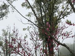 -常德桃花源景区