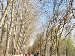 -东郊湿地公园
