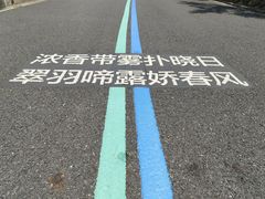 -杭州半山国家森林公园