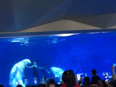 -泉城欧乐堡海洋极地世界