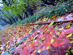 iphone_upload_pic-八大关景区