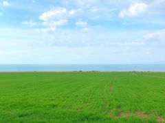 -青海湖国家重点风景名胜区