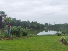-瑶湖郊野森林公园