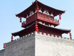 -洛阳市隋唐城遗址植物园