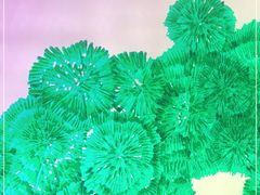 -蝴蝶里·粤菜·点心(滨江龙湖店)