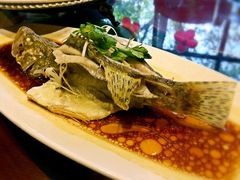 -大蓉和(双楠店)