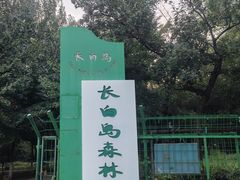 -长白岛森林公园