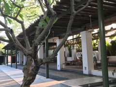 -喜洲吧·江畔老船厂·庭院餐厅(喜临院店)
