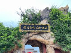 -大槐树寻根祭祖园