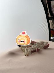 点击看大图 -玛瑞莎孕婴童摄影到家拍