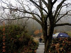 -祁门牯牛降观音堂风景区